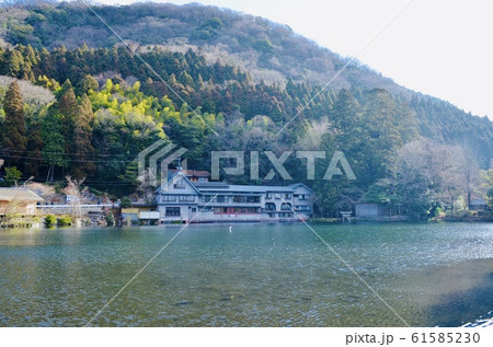 湖 61585230