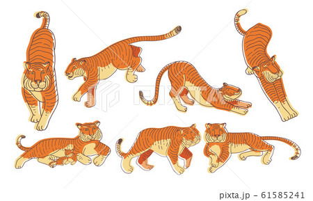 Stylized Tiger Animal in Different Poses Vector Set 61585241