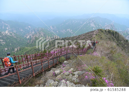 江原道 国立公園 山林庁 61585288