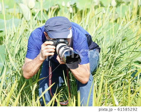 ホビー 旅行 写真撮影 61585292