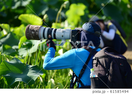 ホビー 旅行 写真撮影 61585494