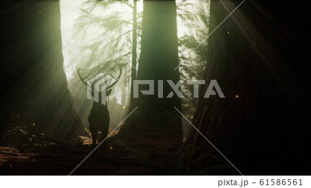 Beautiful deer in the forest with amazing lights 61586561