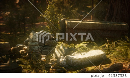 8K ruined ancient stone house overgrown with 61587528