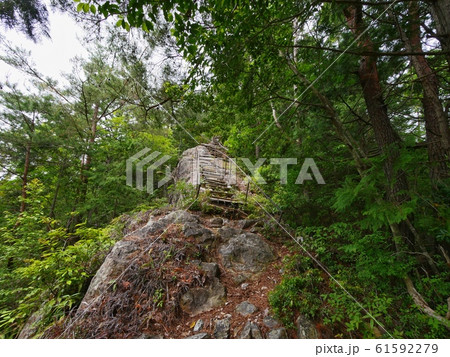 登山道 61592279