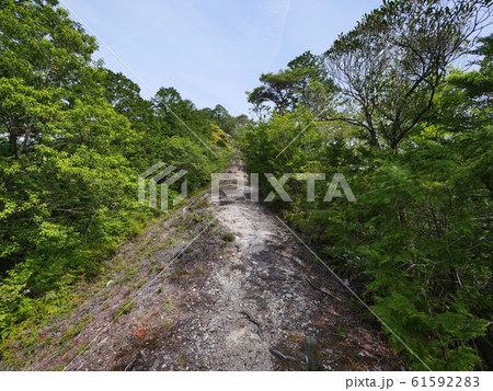 岩道 岩道 61592283