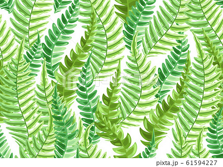 Seamless pattern with fern leaves. 61594227