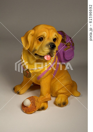 Dog with knapsack 61596692