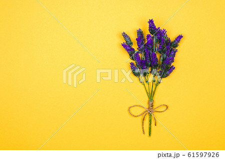 one twig of a lavender flower tied up with a thread and bow on a yellow background. copy space for design ideas 61597926
