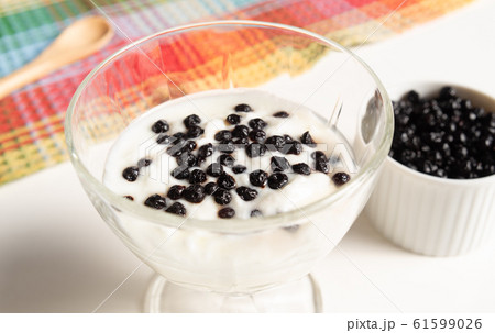 ドライブルーベリー ヨーグルト ドライフルーツ ブルーベリー ドライブルーベリー ヨーグルト ドライフルーツ ブルーベリー 61599026