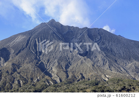 有村溶岩展望所から見た桜島 61600212