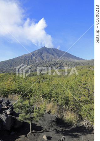 有村溶岩展望所から見た桜島 61600213