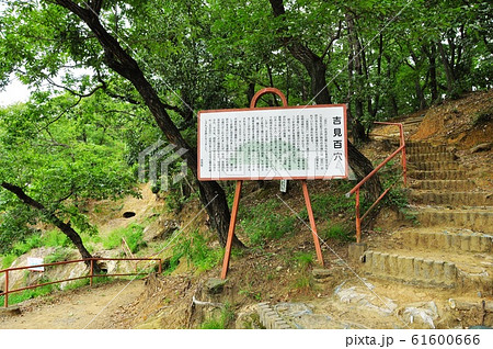 埼玉県 吉見百穴の横穴墓群散策路 埼玉県 吉見百穴の横穴墓群散策路 61600666