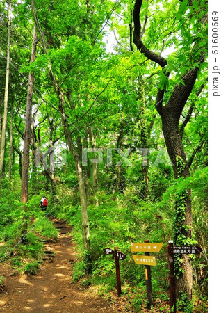 秦野市 弘法山公園 野仏の道分岐(鶴巻温泉方面) 秦野市 弘法山公園 野仏の道分岐(鶴巻温泉方面) 61600669
