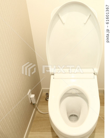 新築住宅 トイレ イメージ 新築住宅 トイレ イメージ 61601367