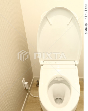 新築住宅 トイレ イメージ 新築住宅 トイレ イメージ 61601368
