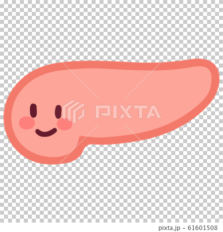 かわいい膵臓 イラストのイラスト素材