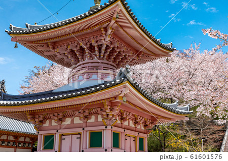 多宝塔と桜 奈良壷阪寺 61601576