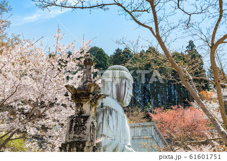 壷阪寺の桜 大釈迦如来石像 奈良県 壷阪寺の桜 大釈迦如来石像 奈良県 61601751
