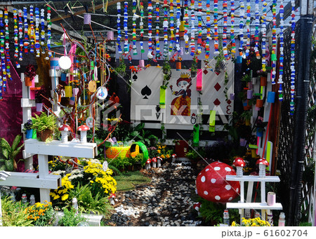 Small pocket garden made from mix of recycle material and mix of flower at Floria Garden, Putrajaya, Malaysia. 61602704