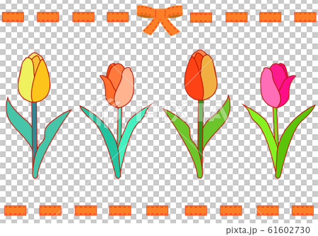 Tulip flower illustration Tulip flower illustration 61602730