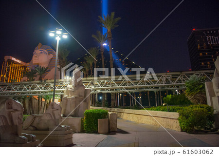 ラスベガス夜景 61603062