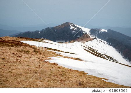 Snowy hills and yellow grass Snowy hills and yellow grass 61603565
