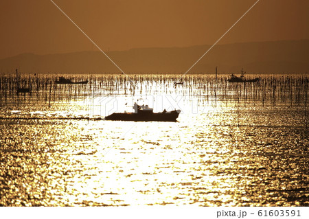 大牟田市　三池港　夕景、 61603591