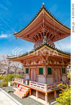 多宝塔と桜 奈良壷阪寺 61603640