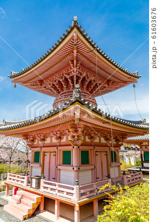 多宝塔と桜 奈良壷阪寺 多宝塔と桜 奈良壷阪寺 61603676