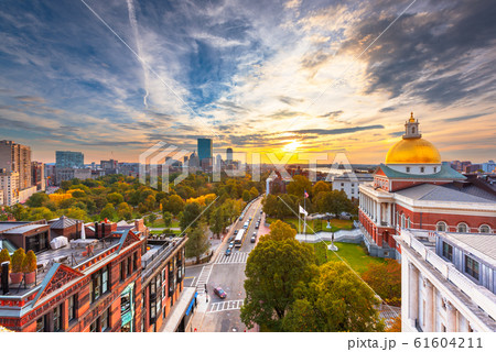 Boston, Massachusetts, USA cityscape  61604211