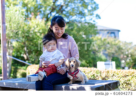 公園で遊ぶ親子と愛犬 61604273