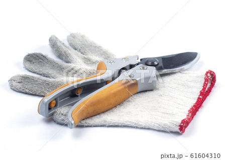 Orange  branch scissor and glove 61604310