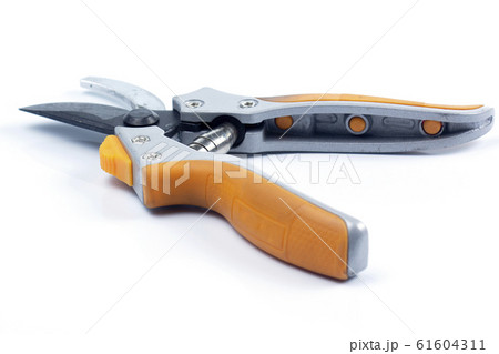 Orange  branch scissor 61604311