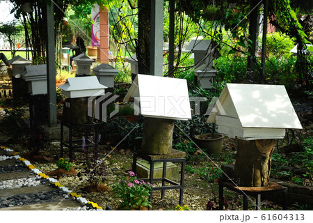 Man made home or nest for sting less bee or local tongue call kelulut Man made home or nest for sting less bee or local tongue call kelulut 61604313