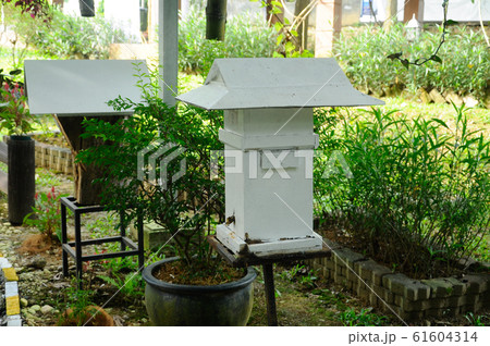 Man made home or nest for sting less bee or local tongue call kelulut Man made home or nest for sting less bee or local tongue call kelulut 61604314