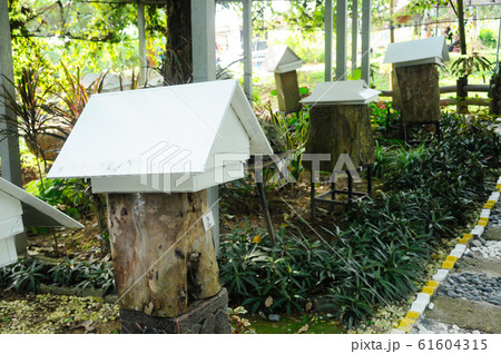 Man made home or nest for sting less bee or local tongue call kelulut  61604315