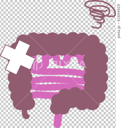 シンプルな不健康な腸のイラスト 内臓 / 消化器 シンプルな不健康な腸のイラスト 内臓 / 消化器 61604929