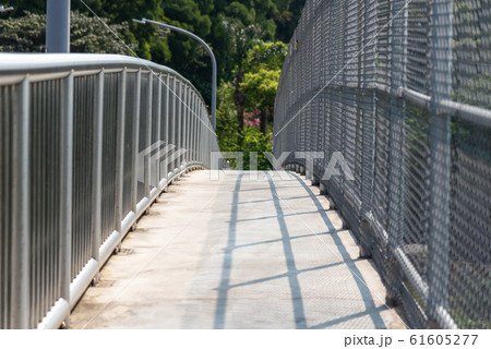 小道 小径 道すじ 61605277