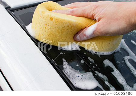 スポンジ　シャンプー洗車 61605486