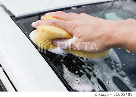 スポンジ　シャンプー洗車 61605489