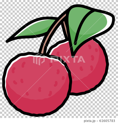 ライチ カットイラスト ライチ カットイラスト 61605783