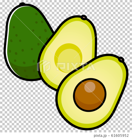 Avocado cartoon Avocado cartoon 61605952