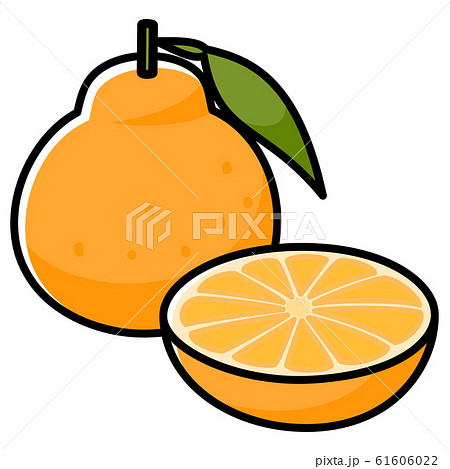 シラヌヒ カットイラスト シラヌヒ カットイラスト 61606022