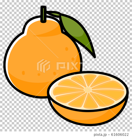 シラヌヒ カットイラスト シラヌヒ カットイラスト 61606022