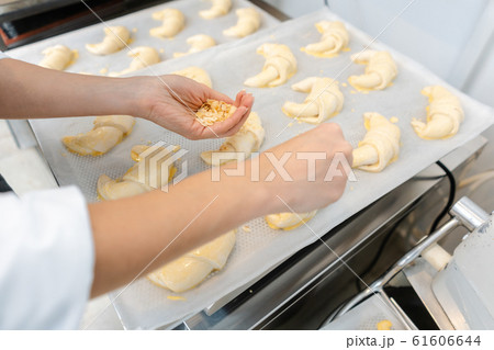 Patissier in her bakery putting croissant dough pieces on a tray Patissier in her bakery putting croissant dough pieces on a tray 61606644