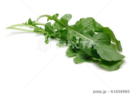 Bunch of fresh rucola isolated on white 61608960