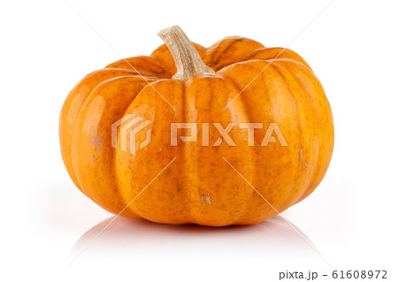 Single mini pumpkin isolated on white Single mini pumpkin isolated on white 61608972