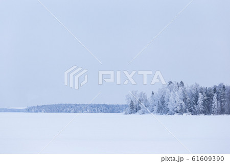 Winter cloudy day lake landscape 61609390