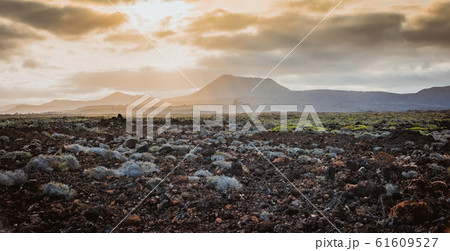 volcanic landscape at sunset in Timanfaya National Park Lanzarote Canary Islands 61609527