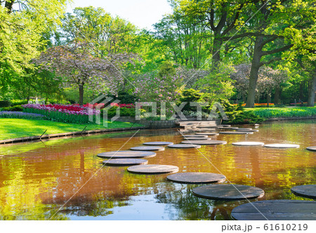 spring pond in park 61610219